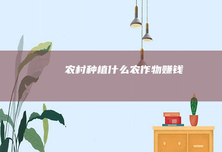 农村种植什么农作物赚钱