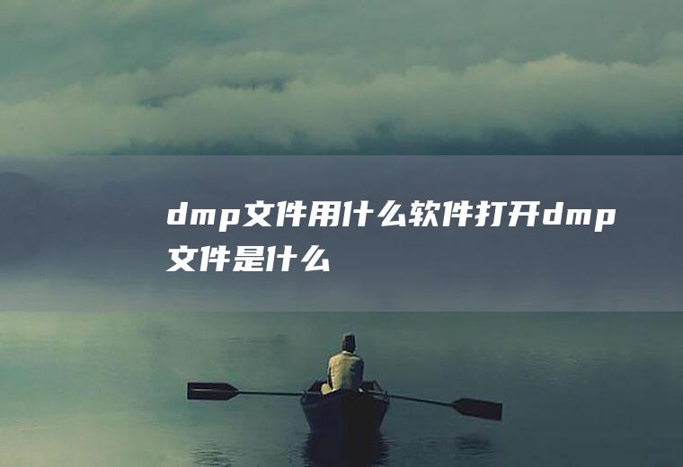 dmp文件用什么软件打开(dmp文件是什么)