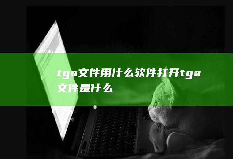 tga文件用什么软件打开(tga文件是什么)