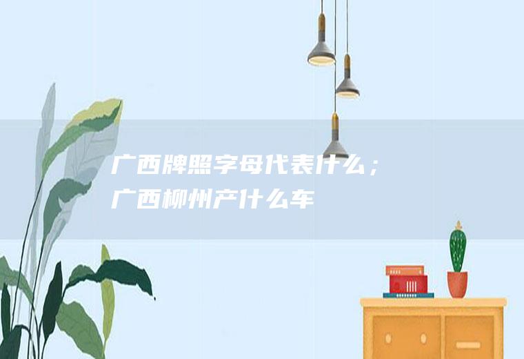 广西牌照字母代表什么；广西柳州产什么车