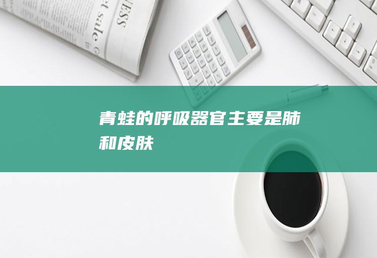 青蛙的呼吸器官主要是肺和皮肤