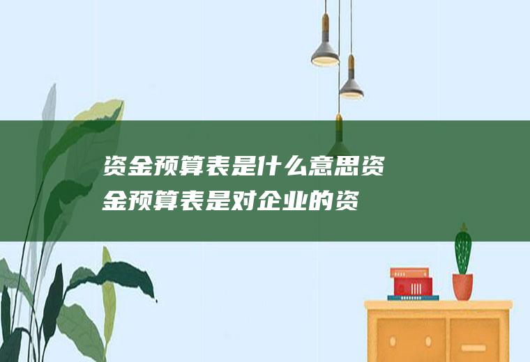 资金预算表是什么意思(资金预算表是对企业的资产、负债、所有者权益及其相互关系进行预)