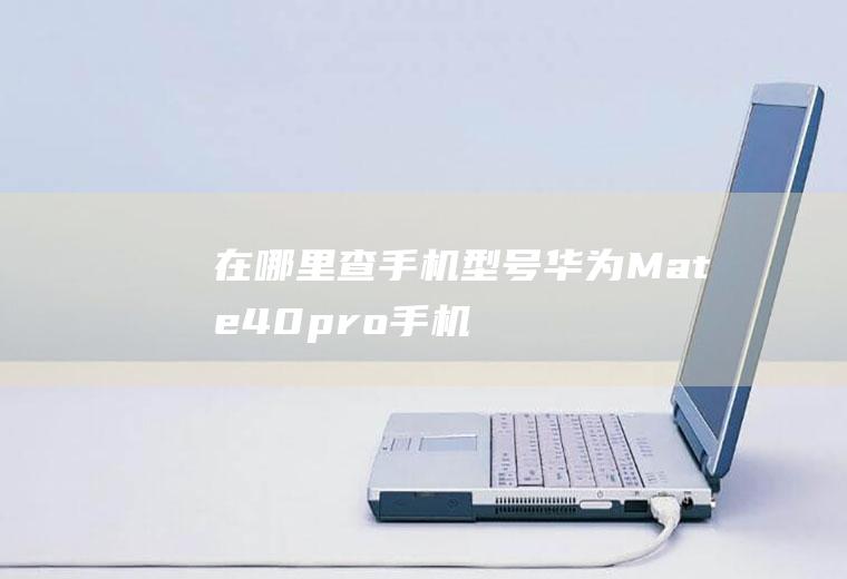 在哪里查手机型号(华为Mate40pro手机型号怎么查)