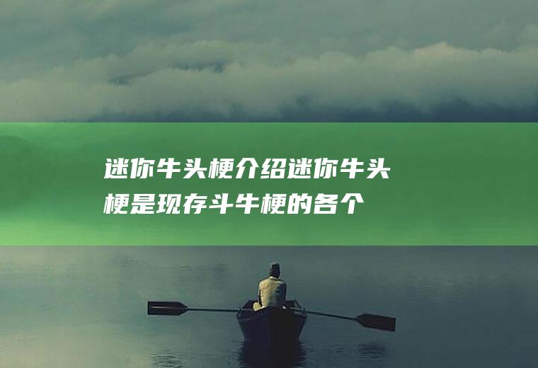 迷你牛头梗介绍(迷你牛头梗是现存斗牛梗的各个变种中体型最小的一种)