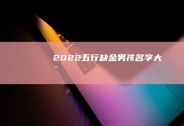 2022五行缺金男孩名字大全