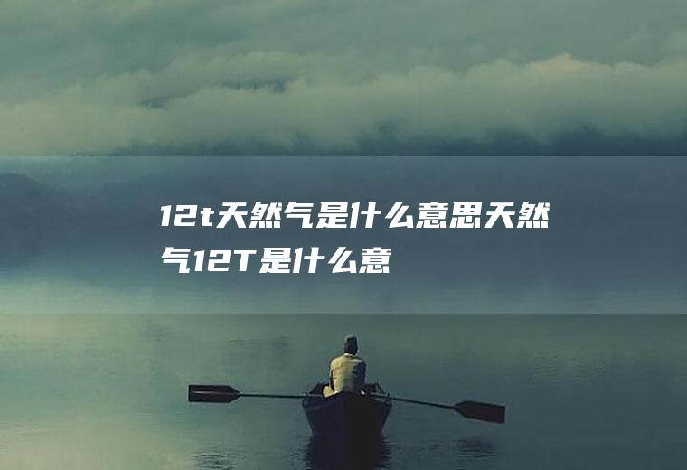 12t天然气是什么意思(天然气12T是什么意思)