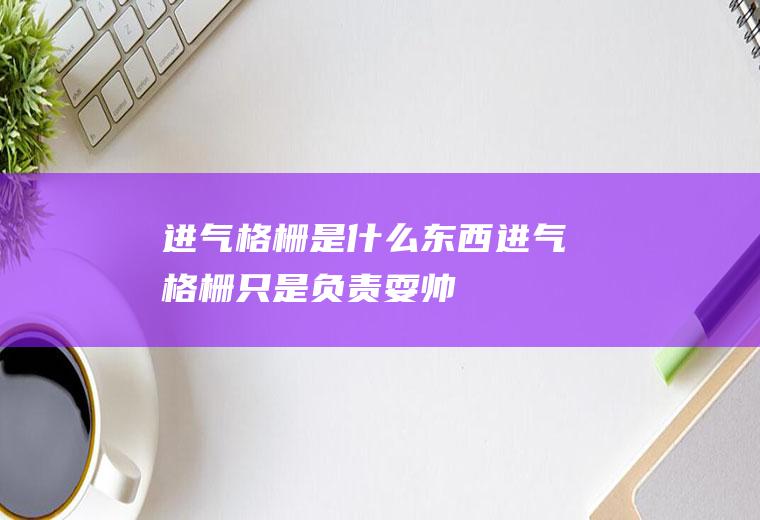 进气格栅是什么东西(进气格栅只是负责“耍帅”吗负责划分各个车型的吗)