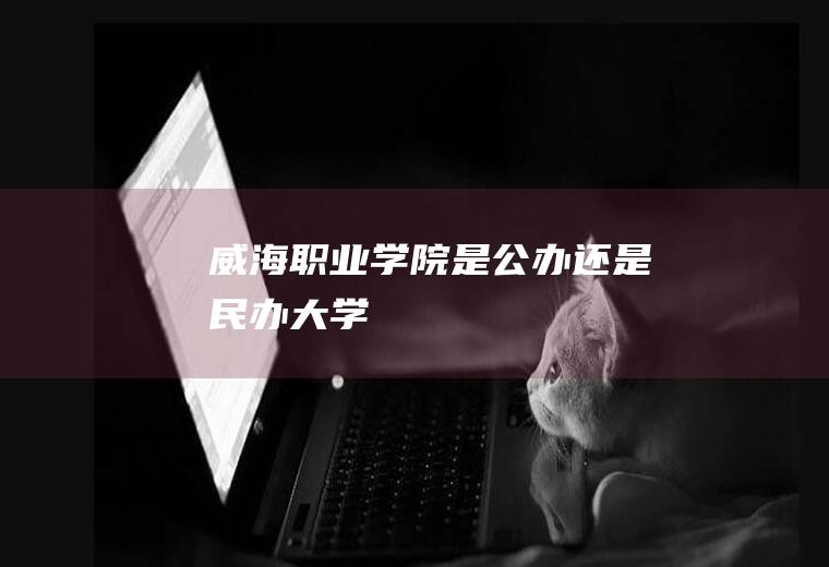 威海职业学院是公办还是民办大学