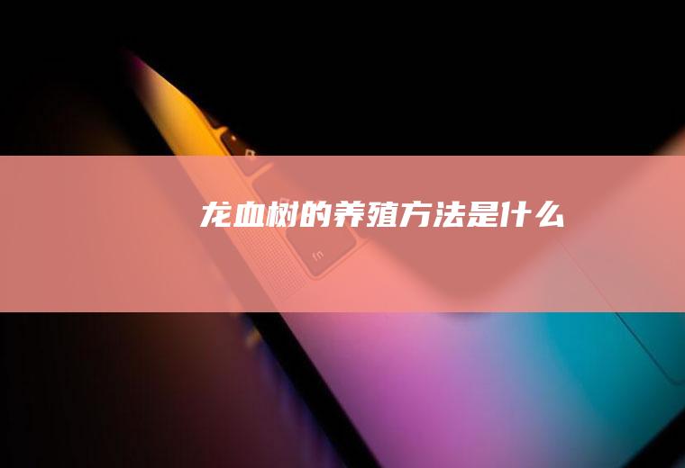 龙血树的养殖方法是什么