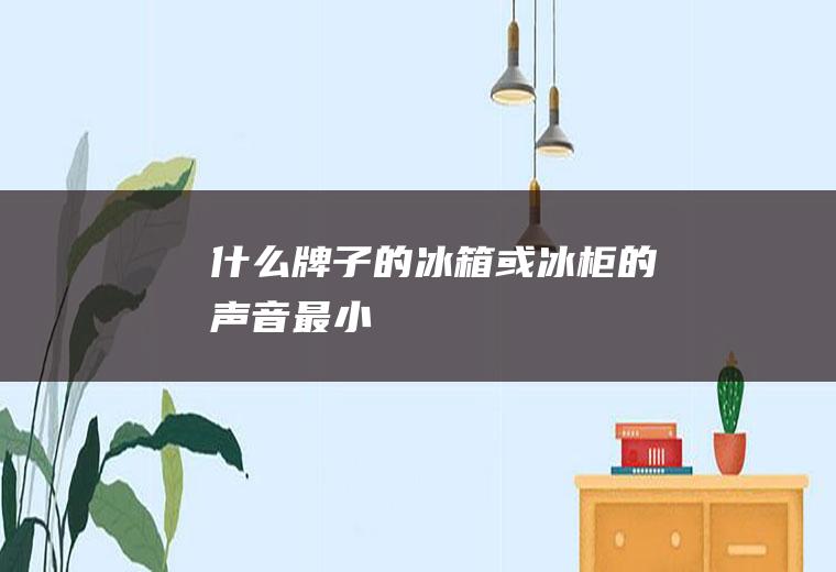 什么牌子的冰箱或冰柜的声音最小