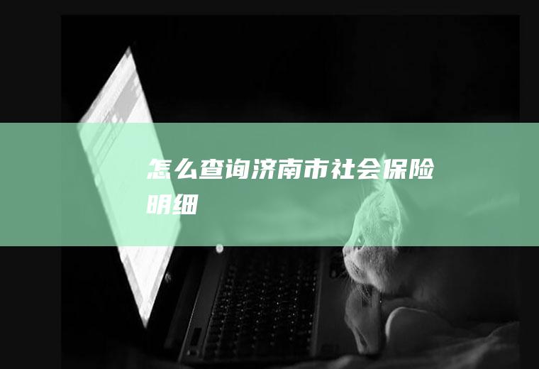 怎么查询济南市社会保险明细