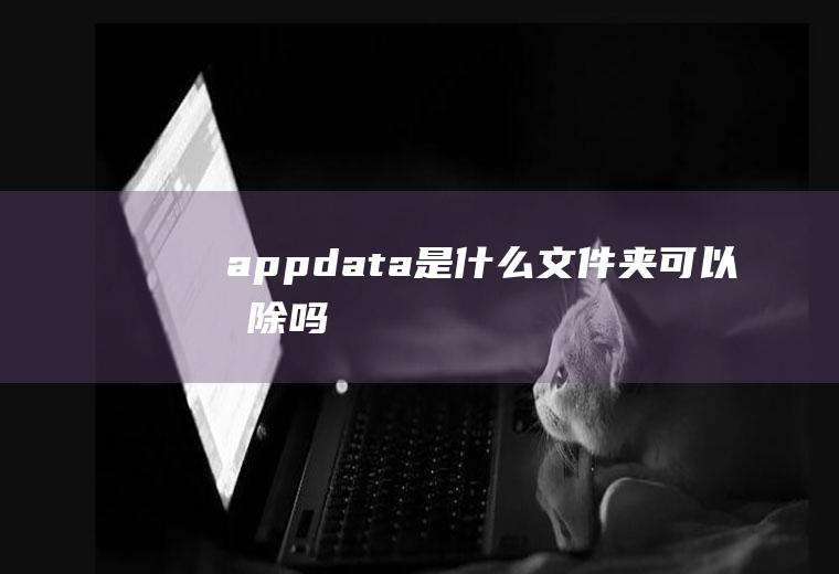 appdata是什么文件夹可以删除吗