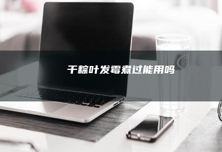 干粽叶发霉煮过能用吗