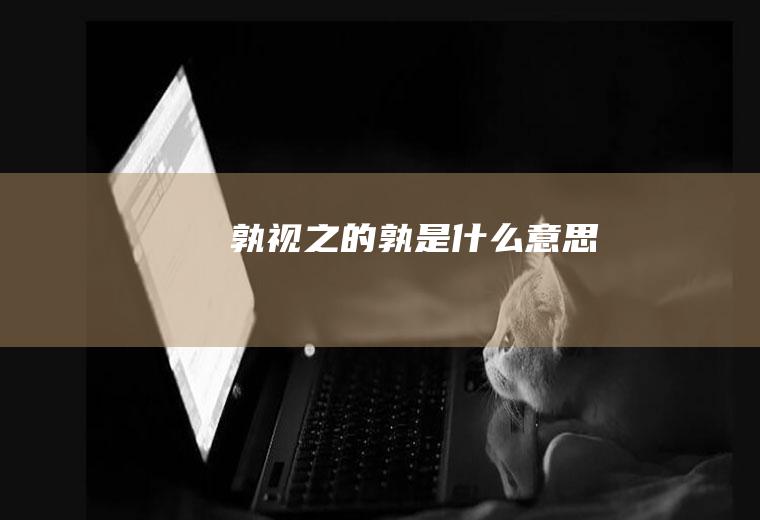 孰视之的孰是什么意思