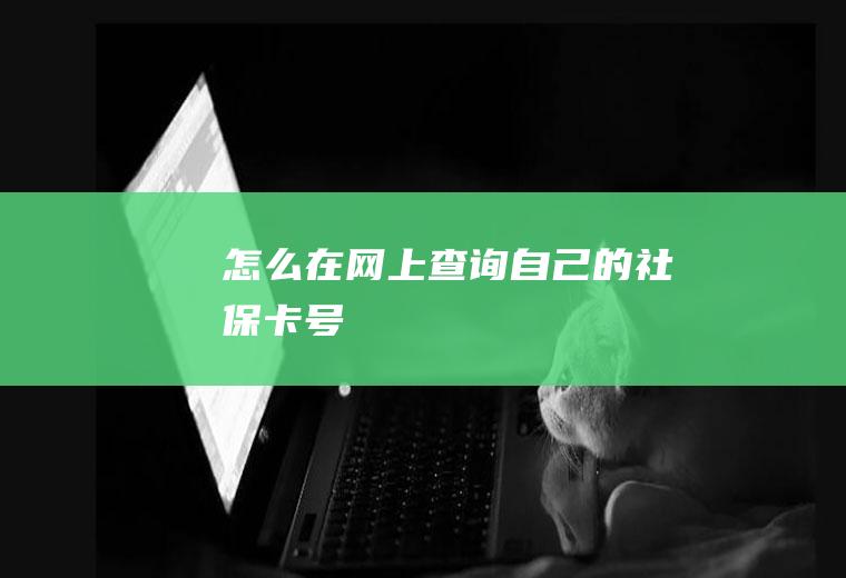 怎么在网上查询自己的社保卡号