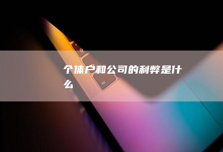 个体户和公司的利弊是什么