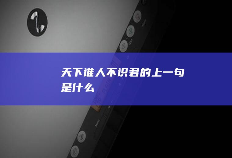 天下谁人不识君的上一句是什么