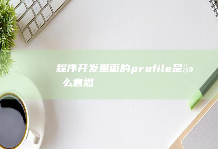 程序开发里面的profile是什么意思