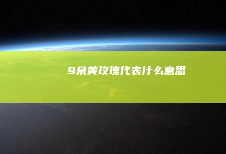 9朵黄玫瑰代表什么意思