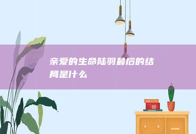 《亲爱的生命》陆羽最后的结局是什么