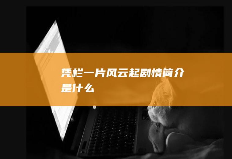 《凭栏一片风云起》剧情简介是什么