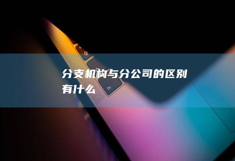 分支机构与分公司的区别有什么