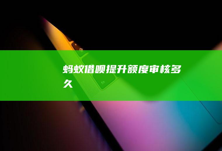 蚂蚁借呗提升额度审核多久