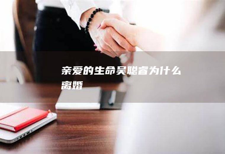 《亲爱的生命》吴聪睿为什么离婚