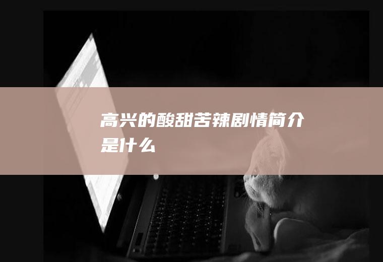 《高兴的酸甜苦辣》剧情简介是什么