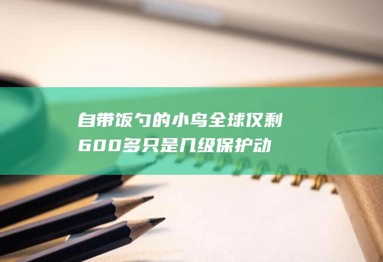 自带饭勺的小鸟全球仅剩600多只是几级保护动物