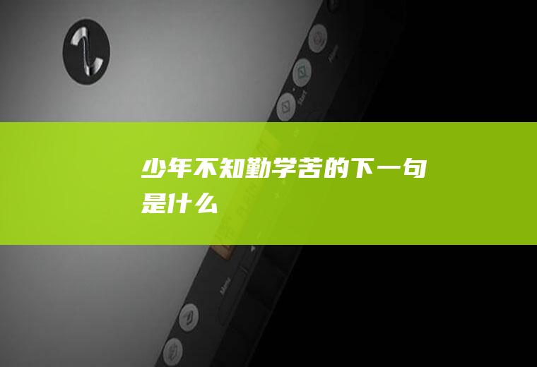 少年不知勤学苦的下一句是什么