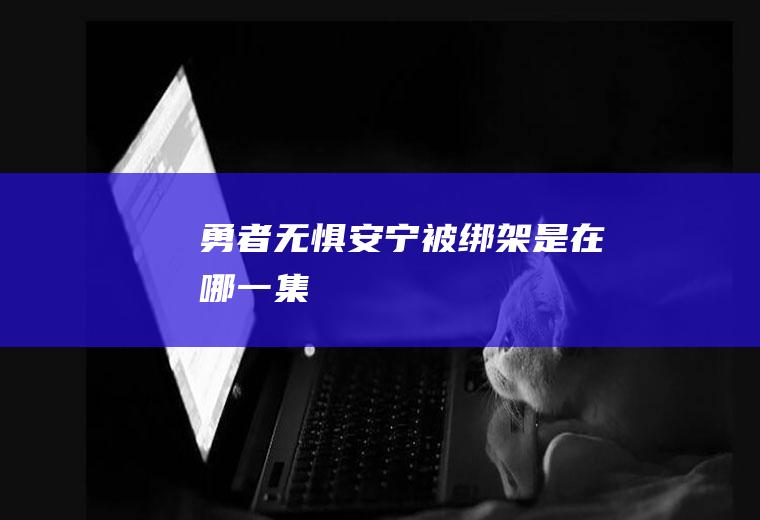 《勇者无惧》安宁被绑架是在哪一集