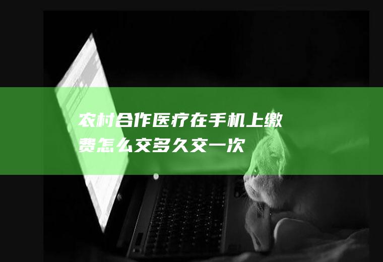 农村合作医疗在手机上缴费怎么交多久交一次