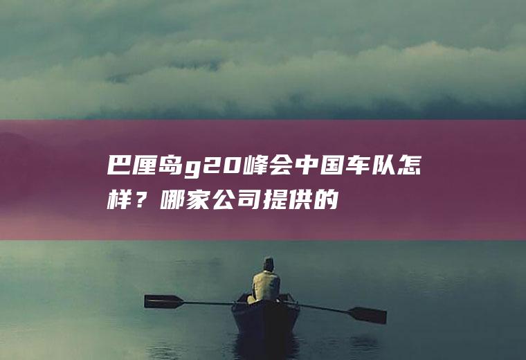 巴厘岛g20峰会中国车队怎样？哪家公司提供的