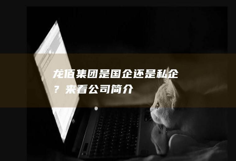 龙佰集团是国企还是私企？来看公司简介