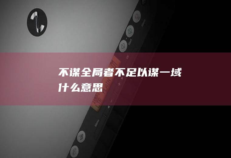 不谋全局者不足以谋一域什么意思