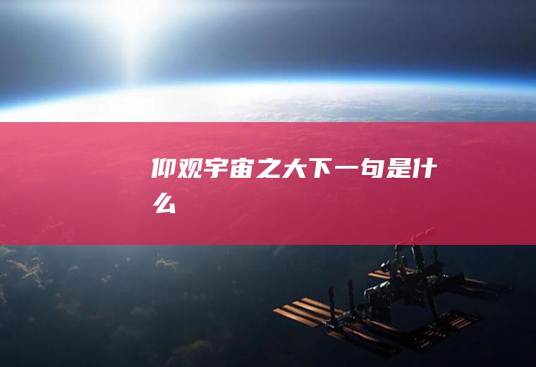 仰观宇宙之大下一句是什么