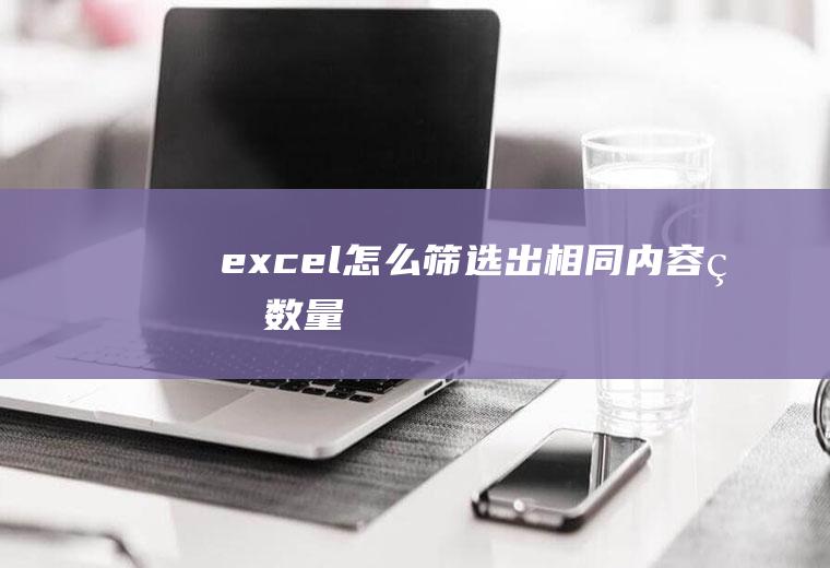 excel怎么筛选出相同内容的数量