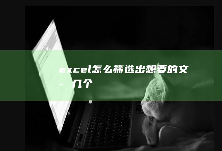 excel怎么筛选出想要的文字几个