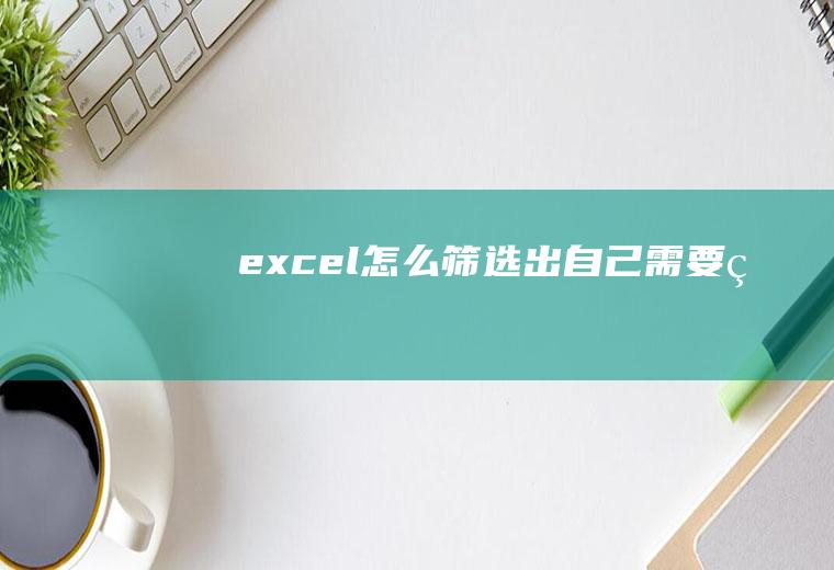 excel怎么筛选出自己需要的