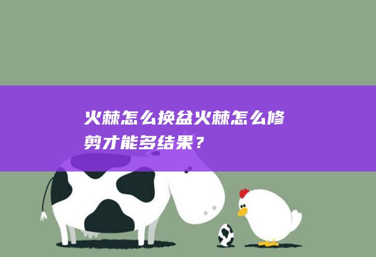 火棘怎么换盆,火棘怎么修剪才能多结果？