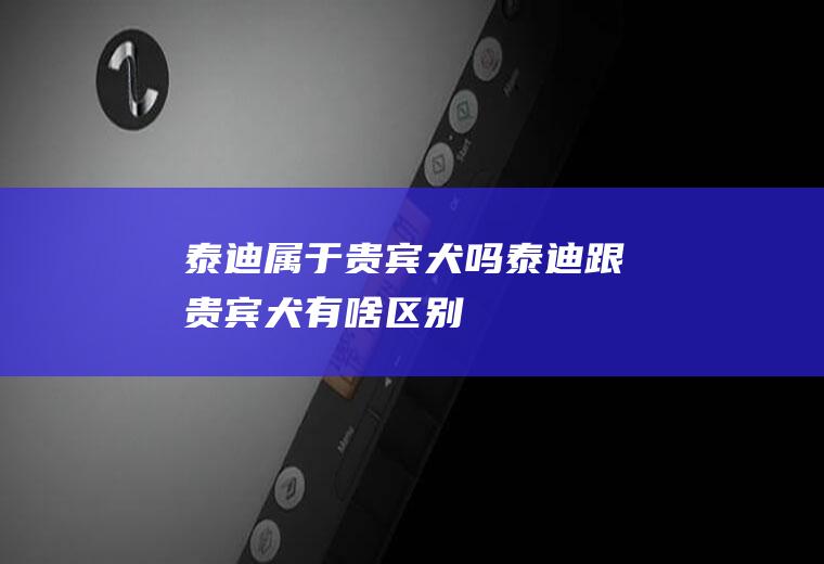 泰迪属于贵宾犬吗(泰迪跟贵宾犬有啥区别)