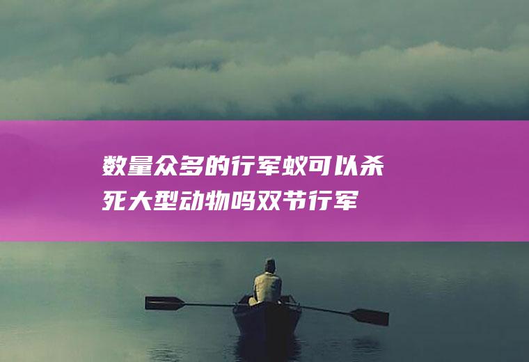 数量众多的行军蚁可以杀死大型动物吗(双节行军蚁)