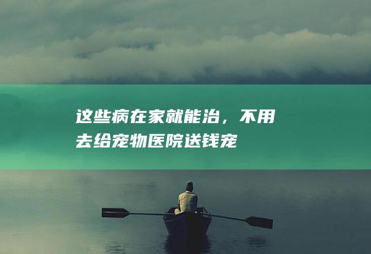 这些病在家就能治，不用去给宠物医院送钱！(宠物医院看一次病多少钱)