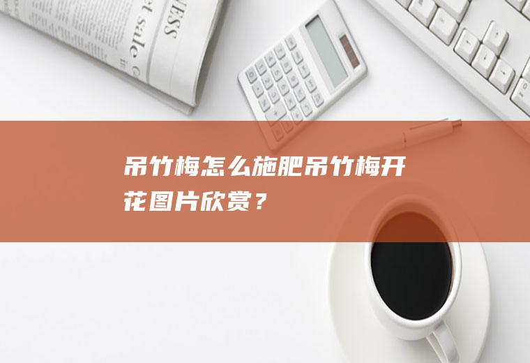 吊竹梅怎么施肥,吊竹梅开花图片欣赏？