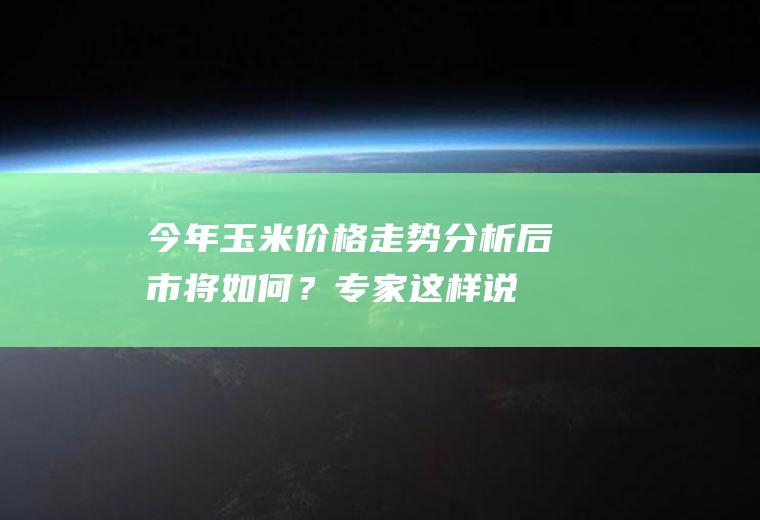 今年玉米价格走势分析：后市将如何？专家这样说