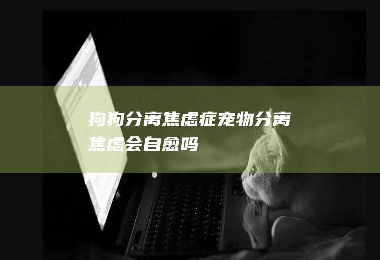 狗狗分离焦虑症(宠物分离焦虑会自愈吗)