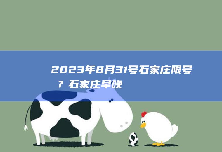 2023年8月31号石家庄限号吗？石家庄早晚高峰限行最新通知？