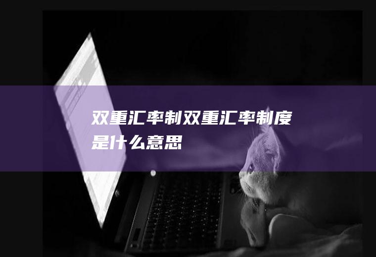 双重汇率制双重汇率制度是什么意思