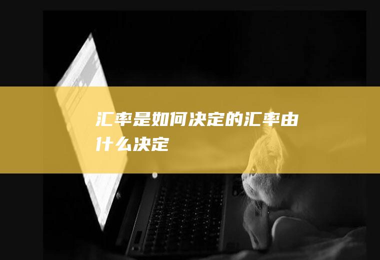 汇率是如何决定的,汇率由什么决定